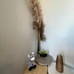 Edem First Floor *